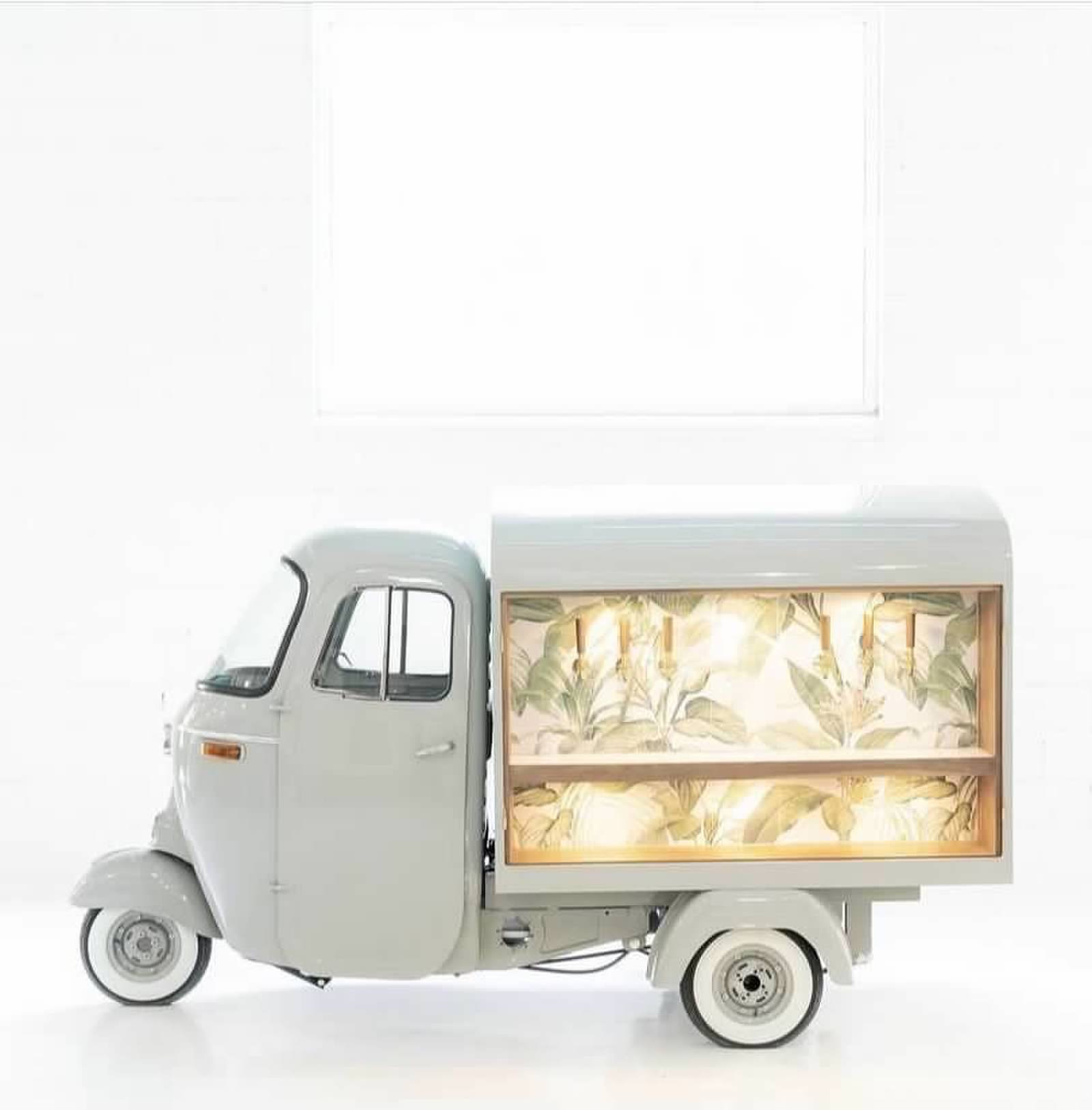 Silver Palm Ape illuminated tropical interior