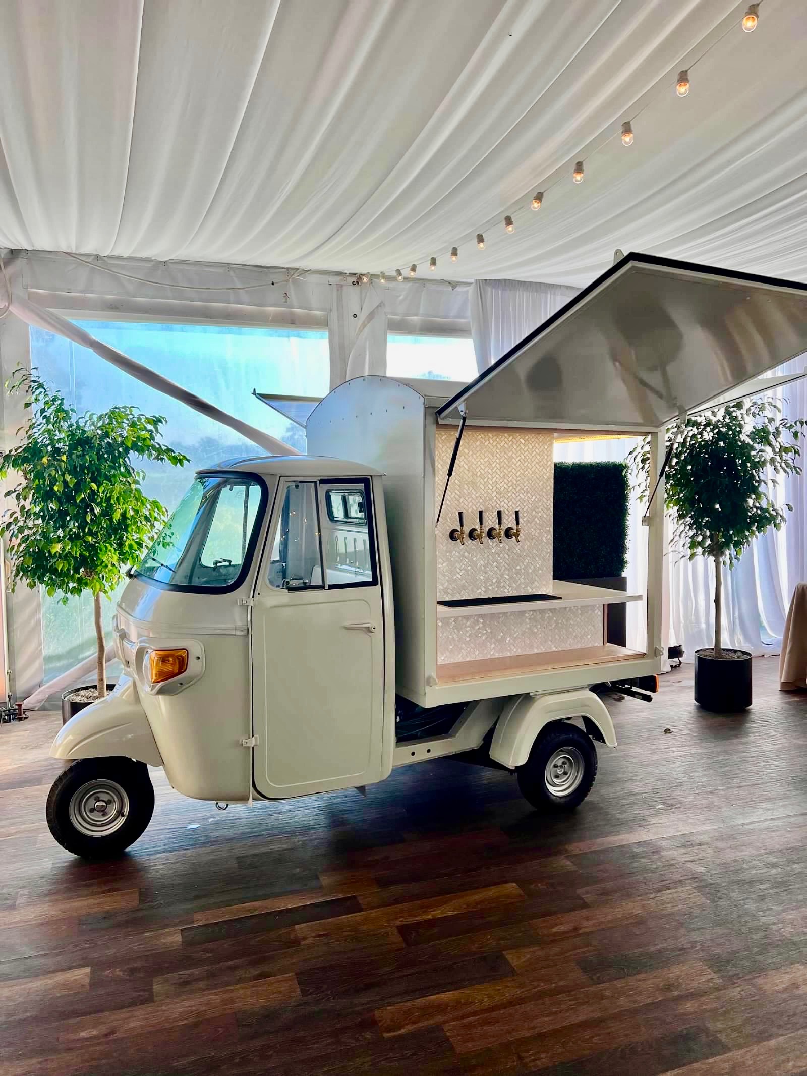 White Shimmer Ape at tent event